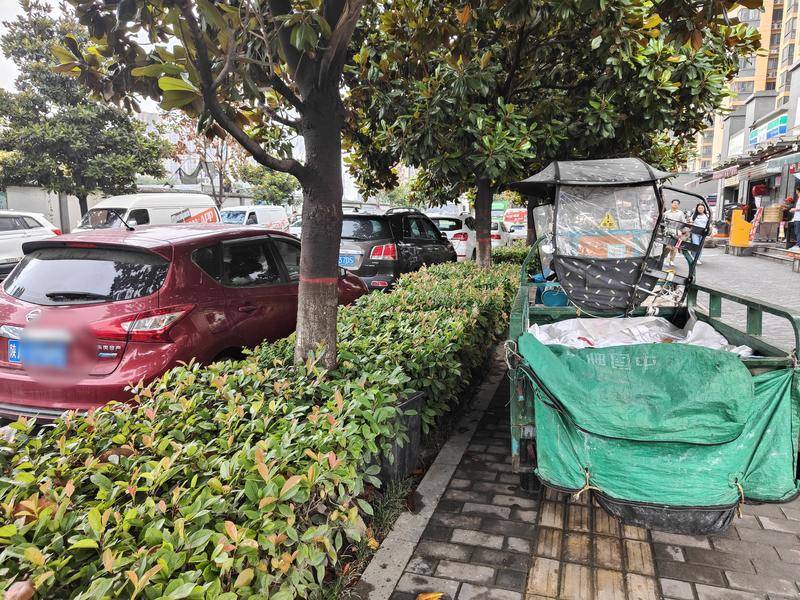 小8跑街|车辆占道、绿化带藏垃圾、地砖缺失 石桥二路这些问题待整改
