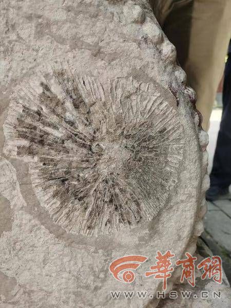 微信图片_20230706170043.jpg