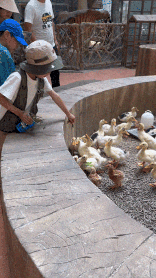 2.gif
