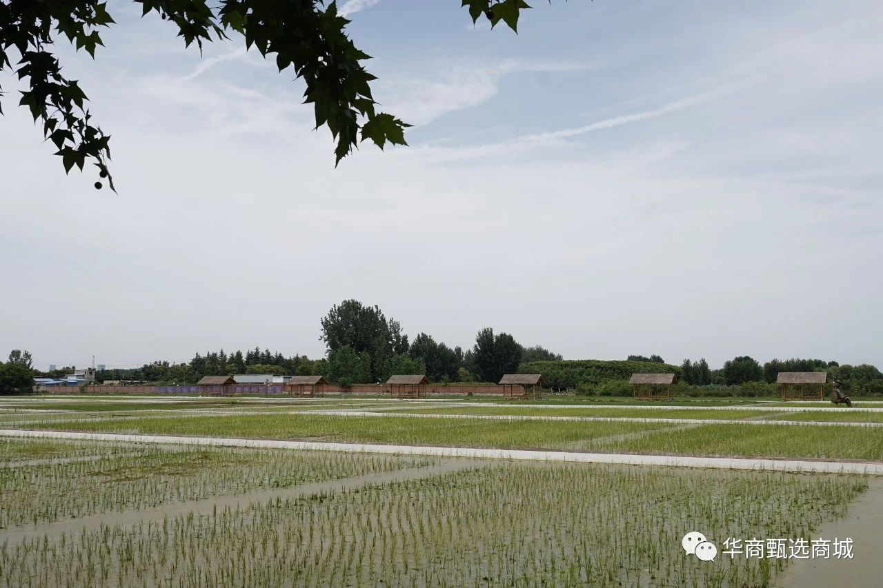 现场将邀请高新区东大街办北大村村支书赵军儒,郭南村村支书刘尧,庆镇