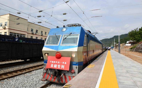 “采椒专列”开行 宁强县500余名采椒工乘坐“采椒专列”赴凤县采椒