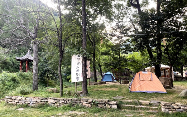 “研学+康养” 黄龙县白马滩镇的“蝶变之路”