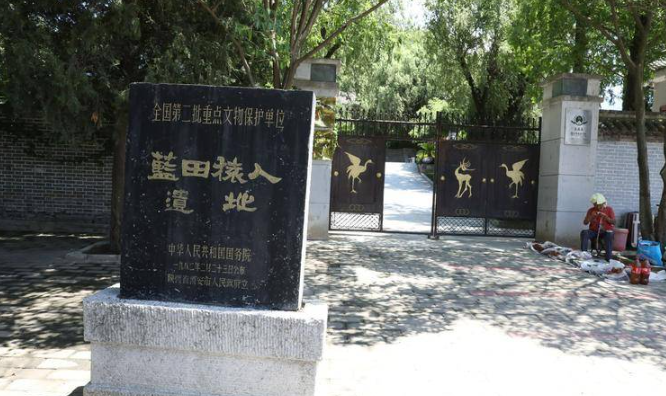 “陕西文物探探探”特别报道|实地走访四个博物馆 看中华文明起源发展