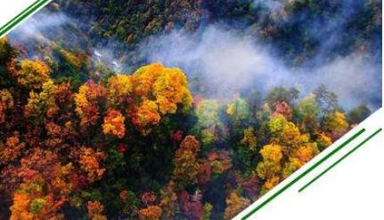 多年营造林8800多万亩 陕西绿色版图不断扩大