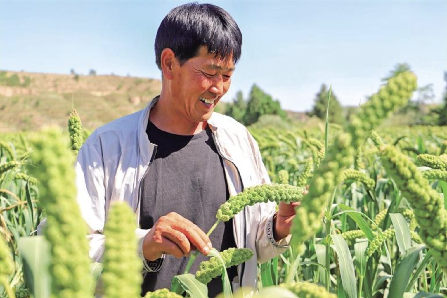 截屏2023-08-20 11.56.10.png