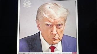 拍下“监狱大头照”后 特朗普2天筹得710万美元竞选资金