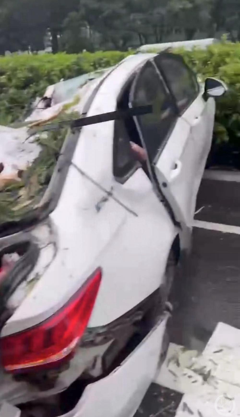 深圳台风吹倒大树砸中车辆 救援人员：司机当场身亡两女子受伤获救
