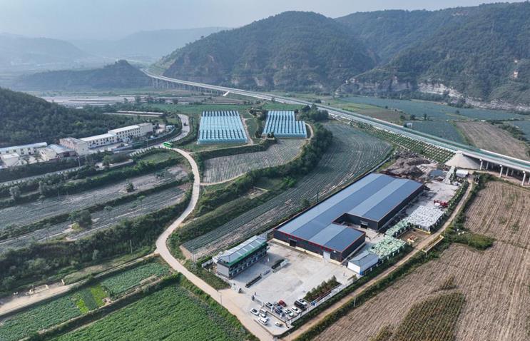 沿着黄河遇见海·潮起三秦看新程丨延长县黑家堡镇：变废为宝打造现代循环农业