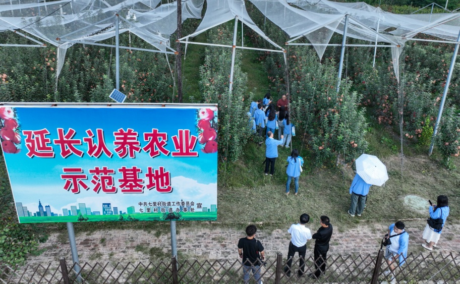 沿着黄河遇见海·潮起三秦看新程丨延长县管村：走进现实版“开心农场” 解锁认养农业的“富民密码”