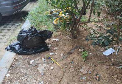 小8跑街|垃圾散落 黄土裸露 咸宁中路这处绿化带盼清理