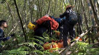 台湾一登山团遭蜂群攻击2死9伤 4名消防人员也被螫伤