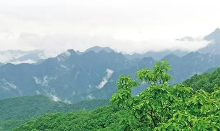 陕西设立10个秦岭生态环境保护宣传教育基地